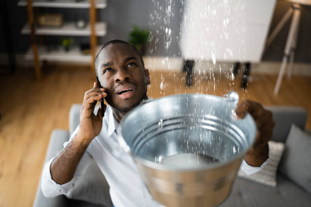 Best Water damage restoration near me  in Wilson, OK