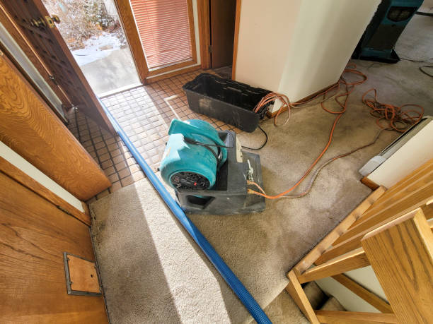 Best Ceiling water damage repair  in Wilson, OK