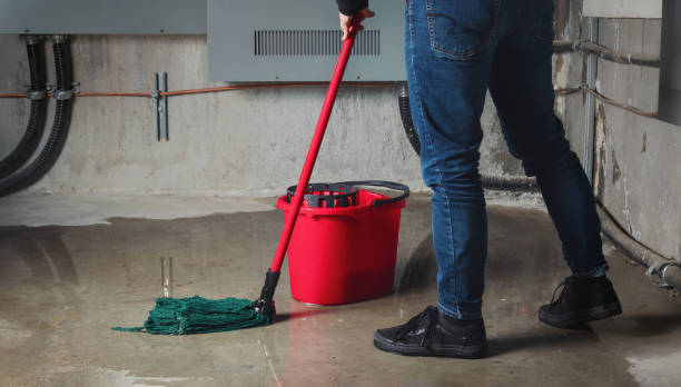 Best 24/7 water damage repair  in Wilson, OK