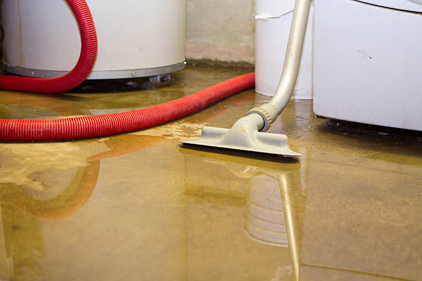 Best Sewage cleanup and water damage restoration  in Wilson, OK