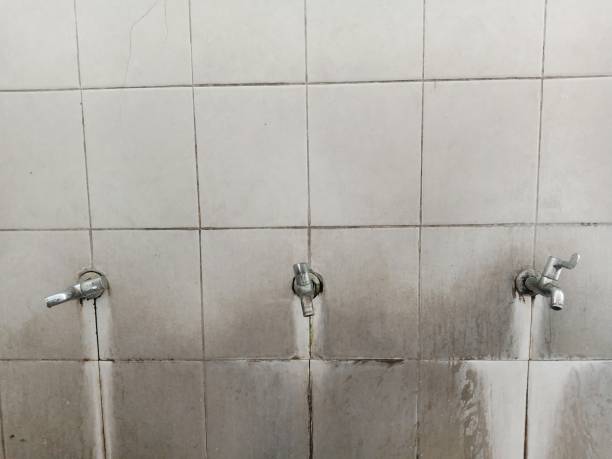 Best Water damage restoration near me  in Wilson, OK