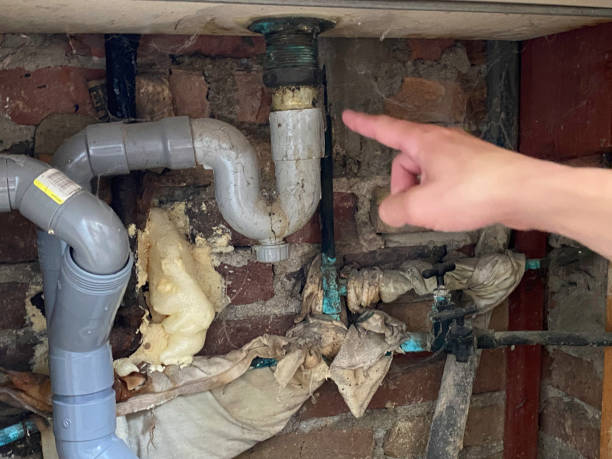 Best Ceiling water damage repair  in Wilson, OK